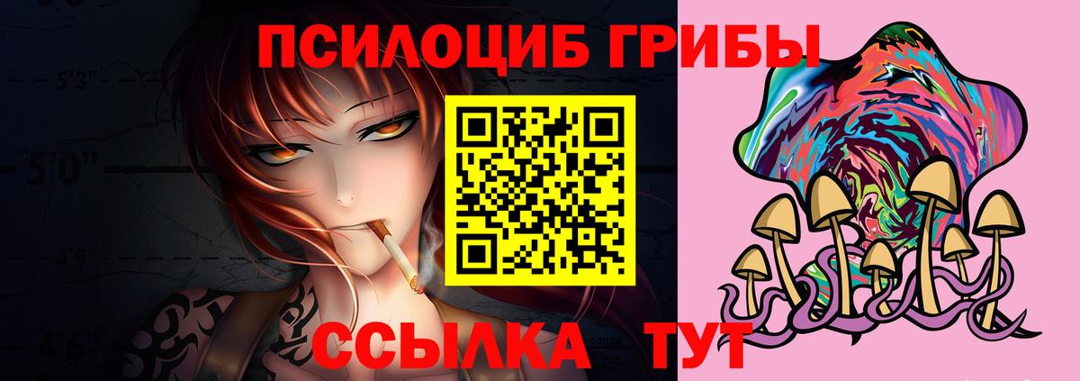 Псилоцибиновые грибы Psilocybine cubensis  Вход с VPN  Галлюциногенные грибы Magic Shrooms  Черногорск 