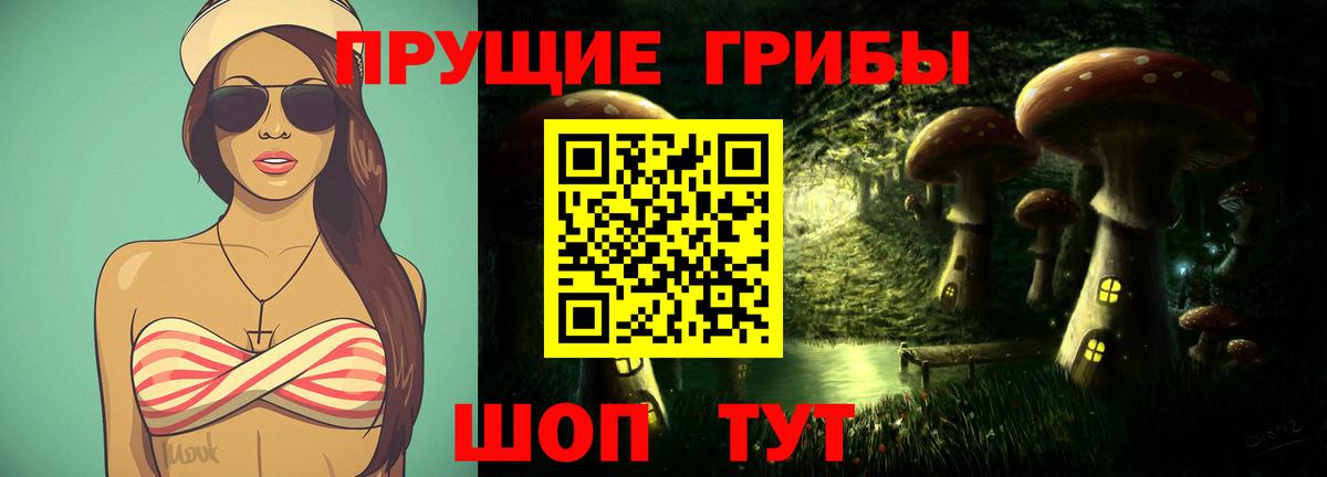 Псилоцибиновые грибы Cubensis Черногорск